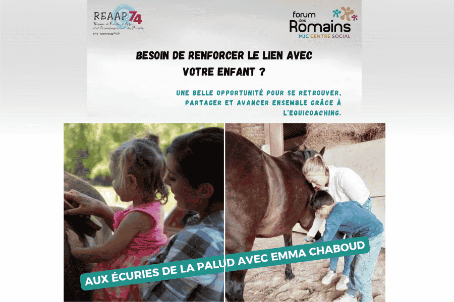 equicoaching chevaux familles enfants