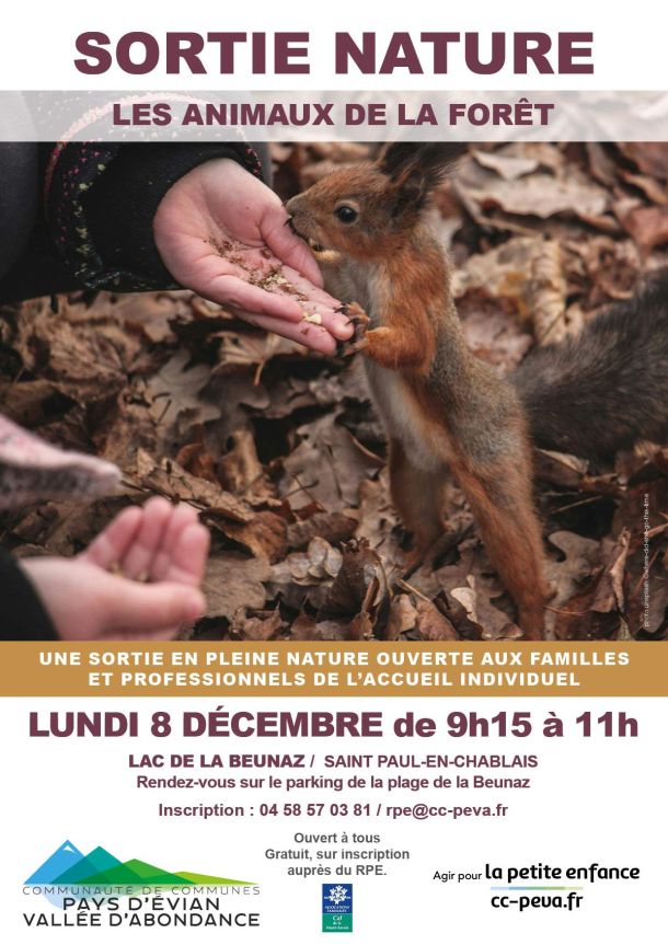 écureuil mains feuilles mortes
