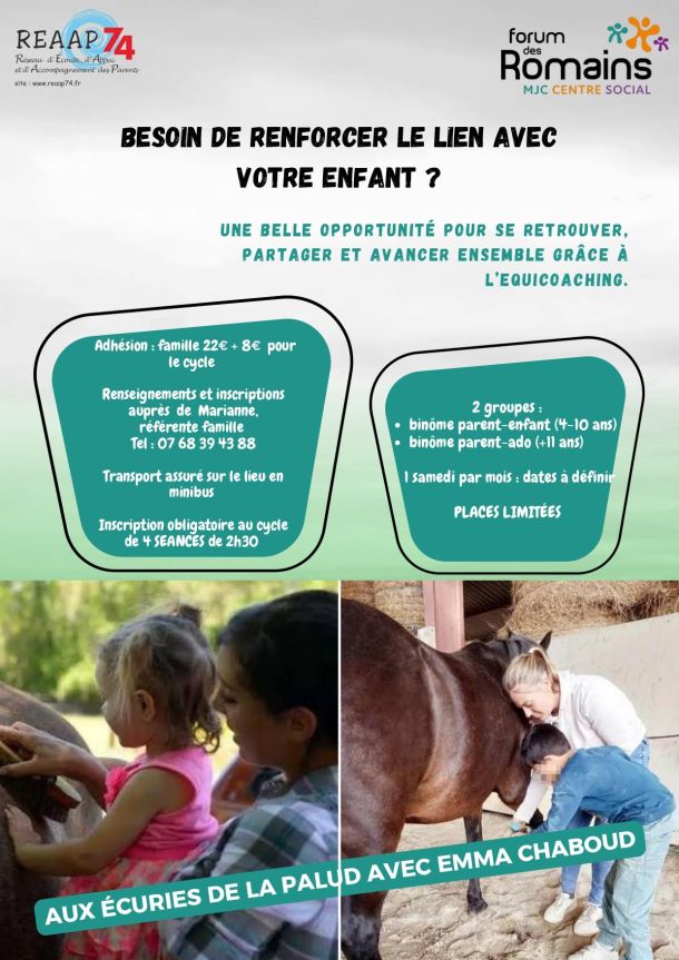 equicoaching chevaux familles enfants